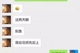 隆林专业催债公司的市场需求和前景分析